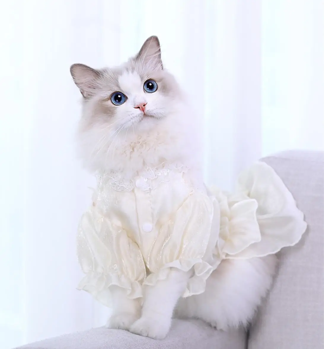 

VOW Pets Clothes Wedding Dog Dress For Dogs Skirt Summer Princess Dog Dresses Clothes For Dogs Skirts York Pet Chihuahau Dress