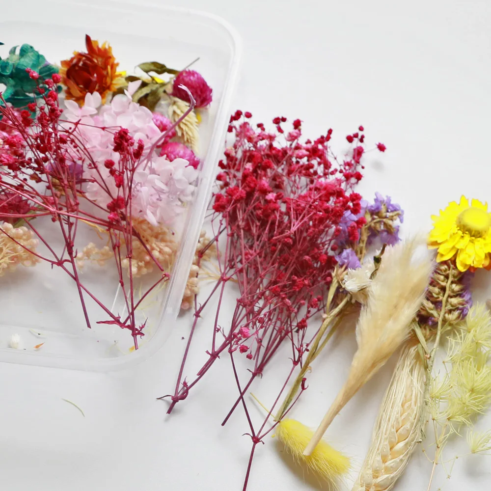 1 коробка Микс настоящих сухоцветов натуральные цветы для творчества