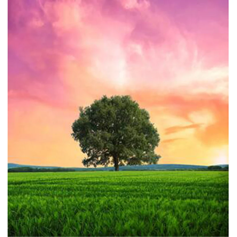 

Алмазная живопись 5D «сделай сам», квадратная/круглая алмазная живопись с пейзажем, луг, пейзаж, дерево, картина для красоты, вышивка крестик...