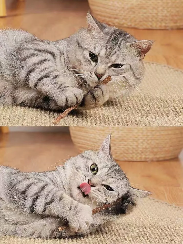 10/15/20/30pcs Natural Matatabi Pet Cat Snacks Sticks Cleaning Tooth
Catnip Cat Toys Actinidia Silvervine Pet Toy For Cats