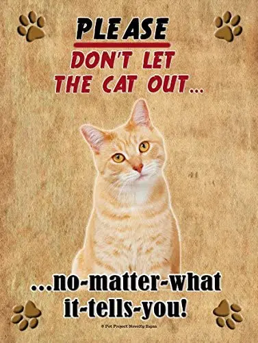 

Orange Tabby Cat - Don't Let The Cat Out... 9X12 Realistic Pet Image New Aluminum Metal Outdoor Cat Pet Sign. Will Not Rust!