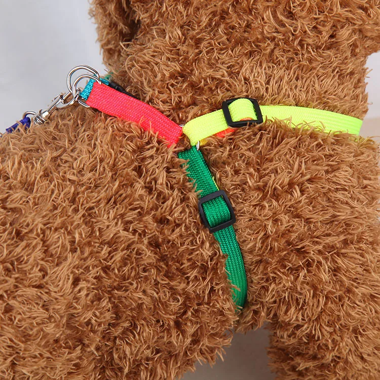 Pet Traction Rope Small Dogs Colorful Harness Teddy Bichon Hand Holding Supplies |