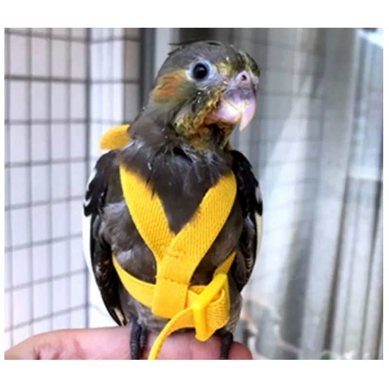 Легкая веревка для попугаев летающий сверхсветильник канат пионы кокатиль