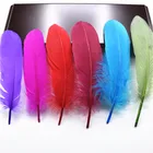 Натуральные гусиные перья для рукоделия, жёсткие перья 5-7 дюймов13-18 см, ювелирное изделие, перо утки, фазана, свадебное украшение для дома