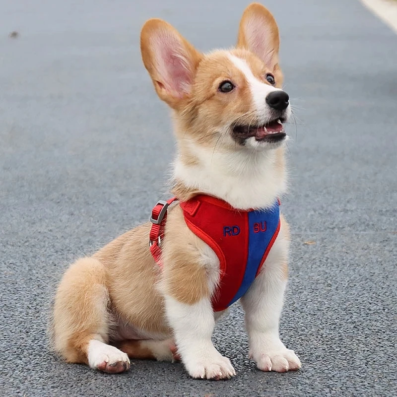 Новое поступление 2020 жилет для собак с поводком регулируемый без тяги