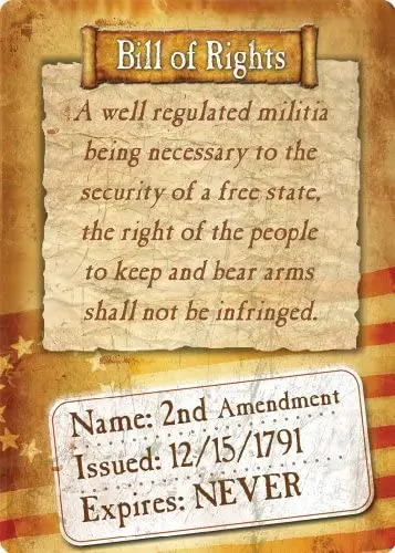 

The Bill of Rights Issued 12/15/1791 2nd Amendment Metal Sign Indoor Outdoor