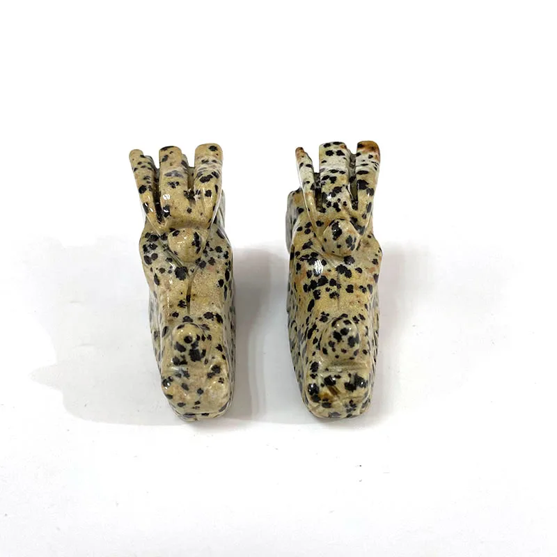 2 дюйма Dalmation яшма череп резной Клык дракона фигурка для украшения