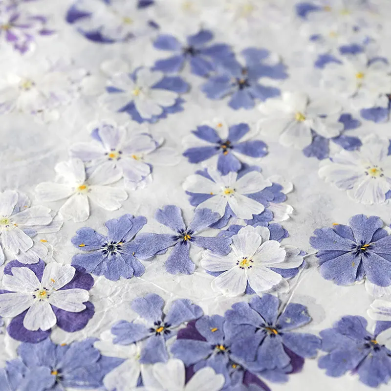 Сушеные цветы круглой формы для рукоделия бесплатная доставка 120 шт. | Дом и сад