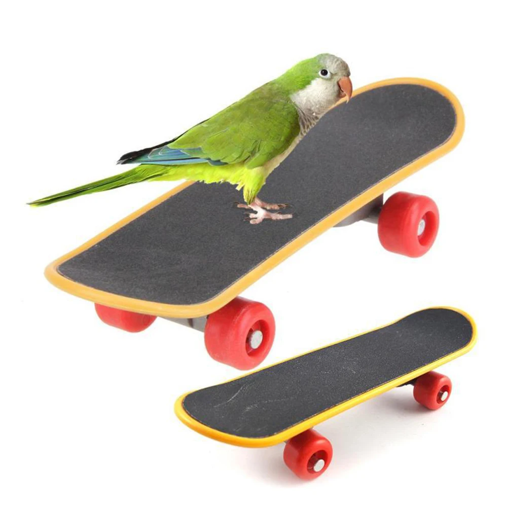 

Mini Skateboard Parrot Bird Cage Toy Chew Training Ornaments Gift Bird Toy Supply