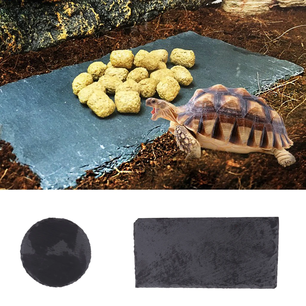 

Turtle Tortoise Dish For Reptile Amphibians Food Bowl Natural Rock