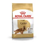 Royal Canin Cocker Adult корм для собак породы кокер-спаниель, 3 кг