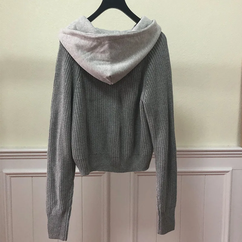 Women Hoodie2019 Autumn and Winter New Hooded Pullover Woolen Sweatshirt Knit Top Sweatshirt