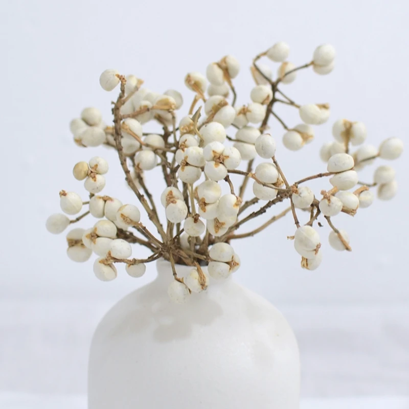 

Natural Cotton Ball Fruit Dried Flower Plant Artificial Family Party Decoration Wedding DIY Handicraft Material
