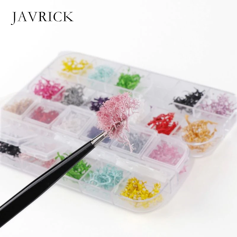 12 цветов высушенный цветок для ногтей из натурального кораллового дерева