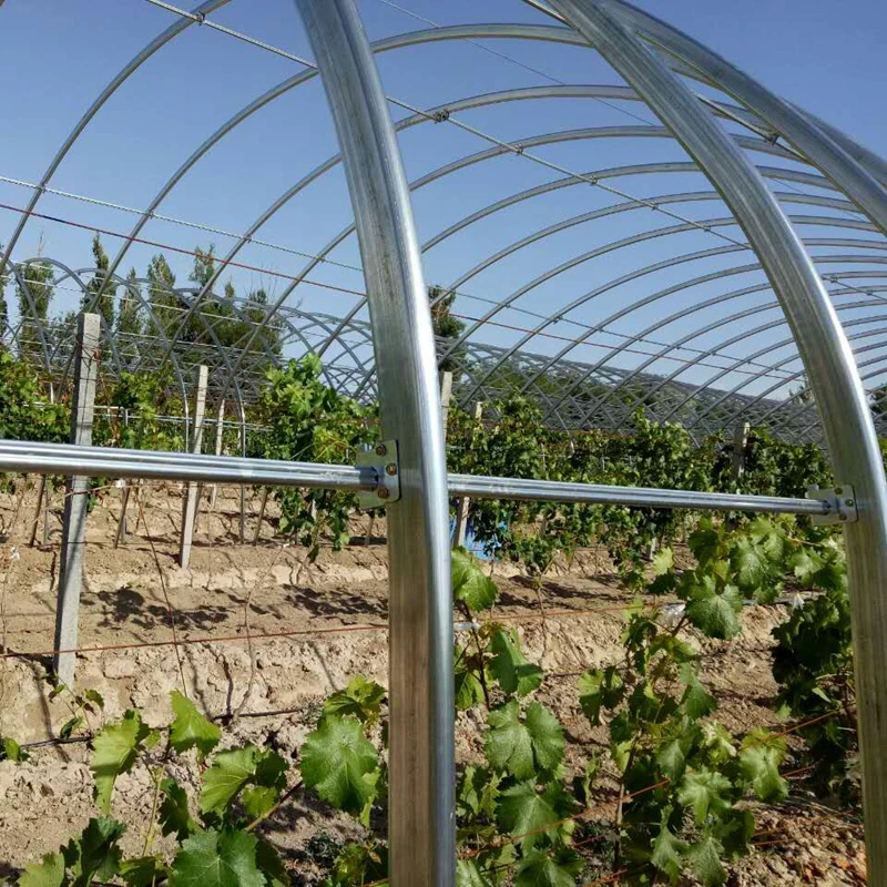 Рисунок 3 - Большая теплица для выращивания растений