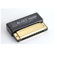new excellent 10 hole blues harmonica with case brass stainless steel armonica professionale harmonica blues