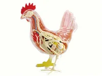 Подборками товаров, предназначенных для творческих личностей#5