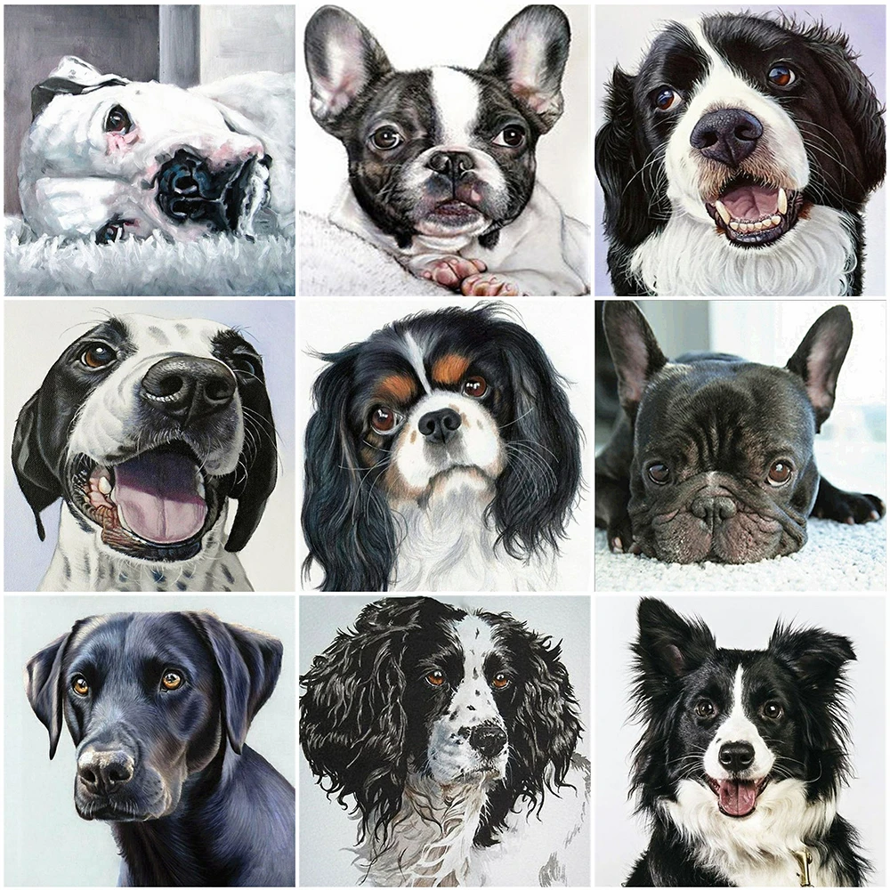 

MomoArt 5D DIY Алмазная вышивка собака Алмазная мозаика Мультфильмы картины стразами полная выкладка подарок ручной работы