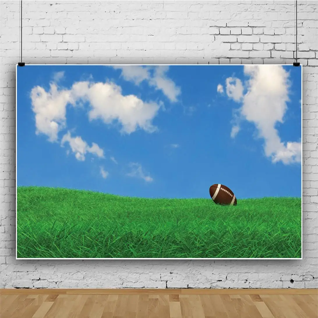 

Красивый Виниловый фон для детской фотосъемки с изображением Регби Поля голубого неба белого облака травы декор стола