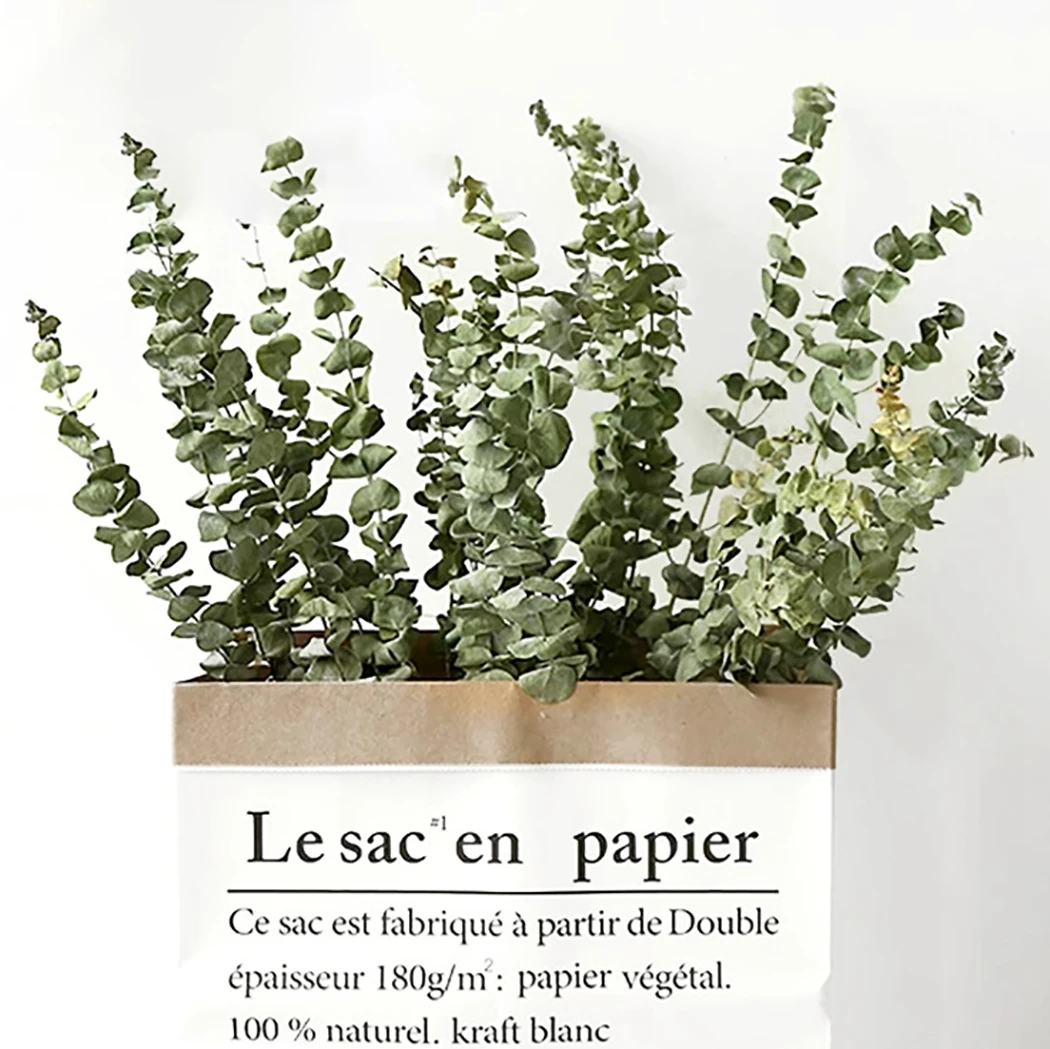 10 шт. растения ветки листья букет декоративные сушеные эвкалипта листьев ветви