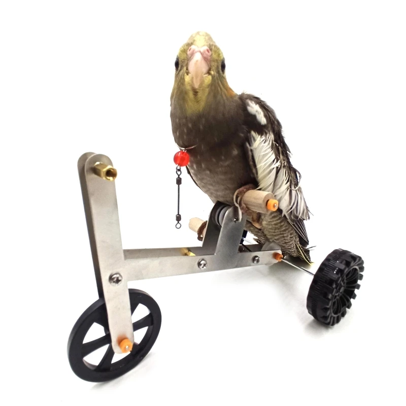 

Funny Parrot Mini Metal Bike Toy Birds Training Plaything Educational Interactive Props for Parakeet Cockatiel Conure Lovebird