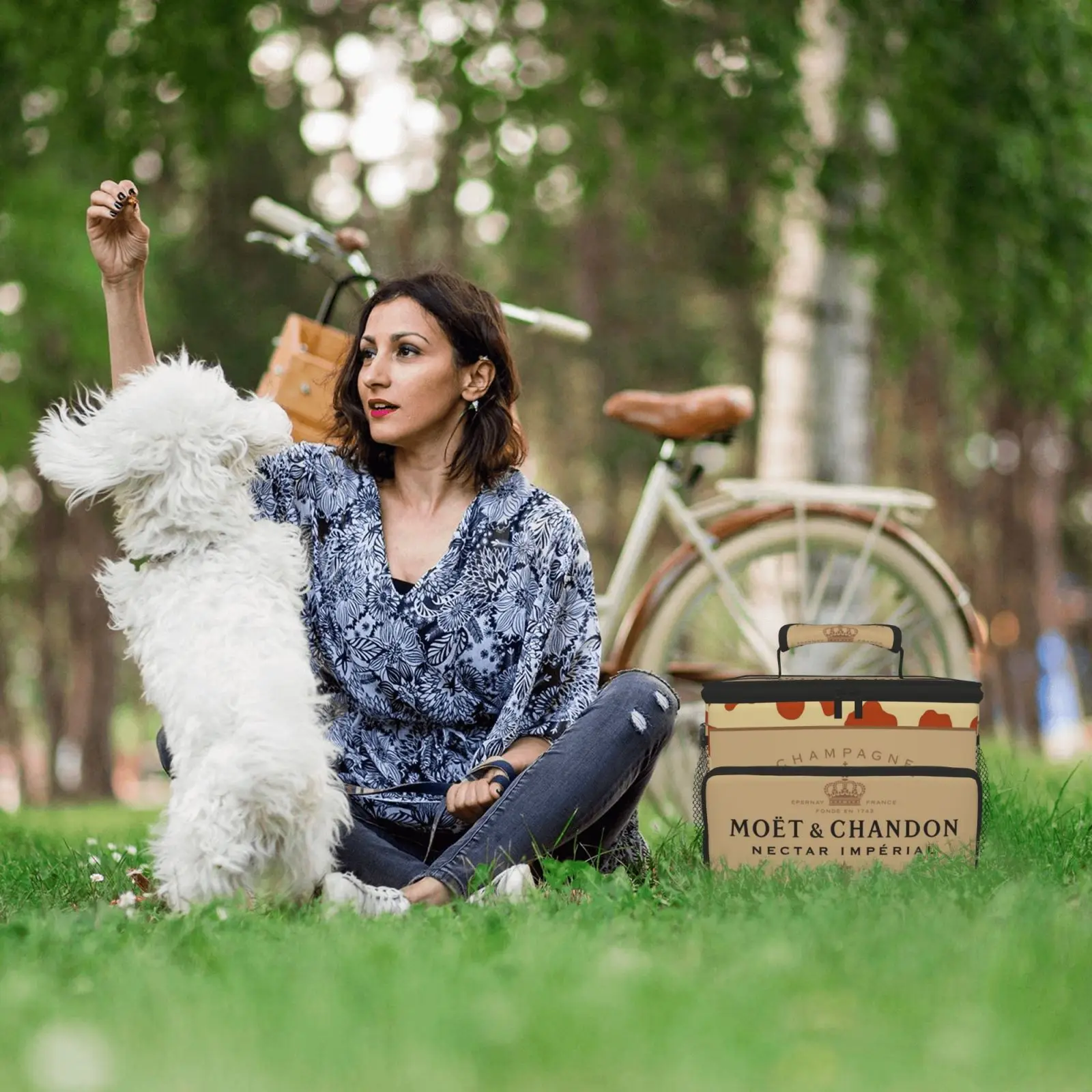 

Moet & Chandon Picnic Bag Lunch Bag Family Pack Shopping Bag Multi-purpose Keep Warm and Cold Lunch Bags for Women Luxury