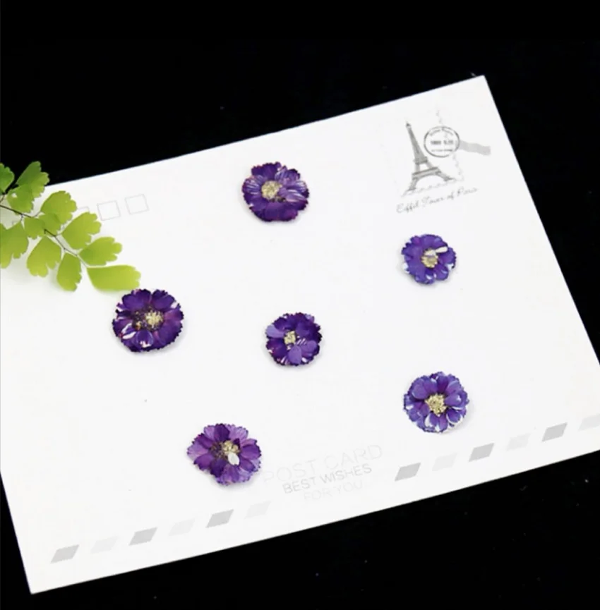 120 шт. цветы Маргаритки для сухих растений эпоксидной смолы подвеска ожерелье