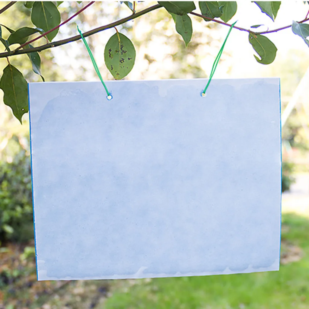 20 шт. двусторонняя клейкая доска для уничтожения насекомых | Дом и сад