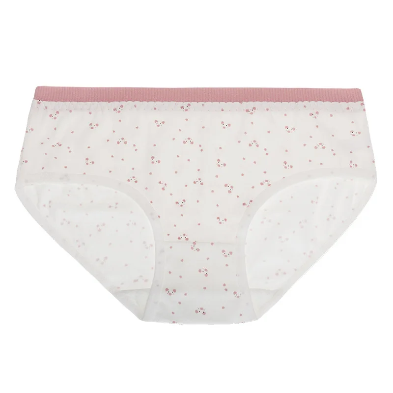 3 Children Cotton Underwear Cute Cartoon Print Panties Young Girls Short Briefs Breathable Underpants Teenage Girls Soft Panties - Цвет: 3