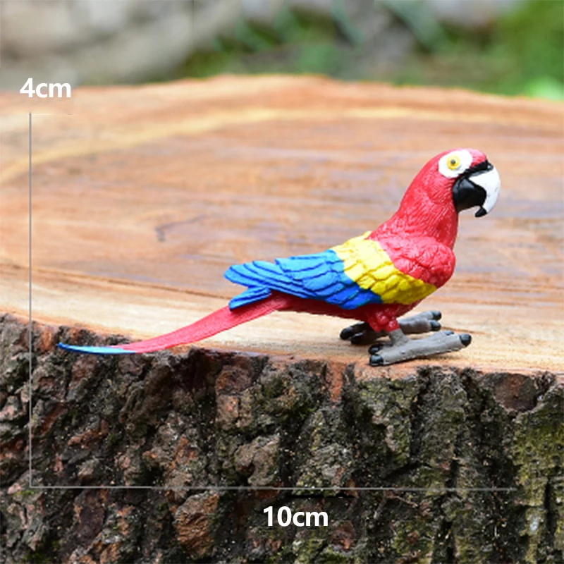 

Simulation Animal Model Of Macaw Doll Wildlife Plastic Ornaments For Birds Children's Toys
