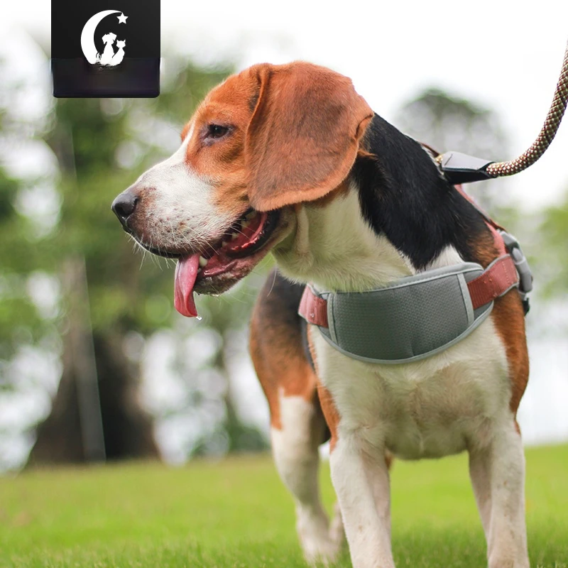 

T7 Personalized Dog Harness Reflective Breathable Adjustable Pet Harness For Small or Large Dog GP-180621H