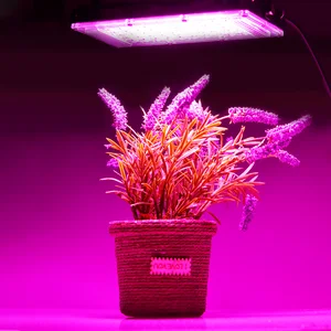 Светильник для растений, 50 Вт, 100 Вт, 220 В, с подвесным тросом и Европейским переключателем