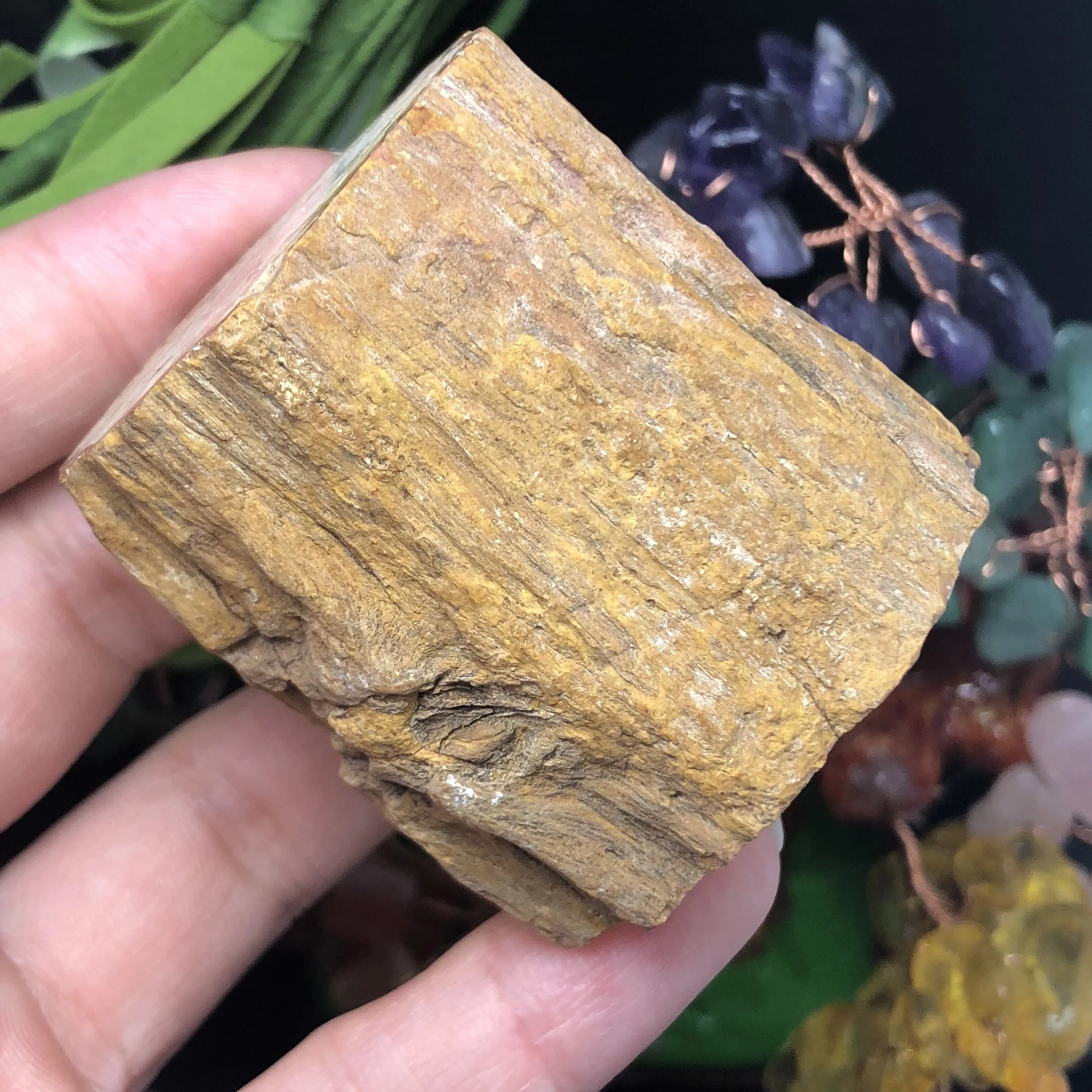 Натуральный окаменевшая древесина оригинальный камень сырой кварцевый минерал