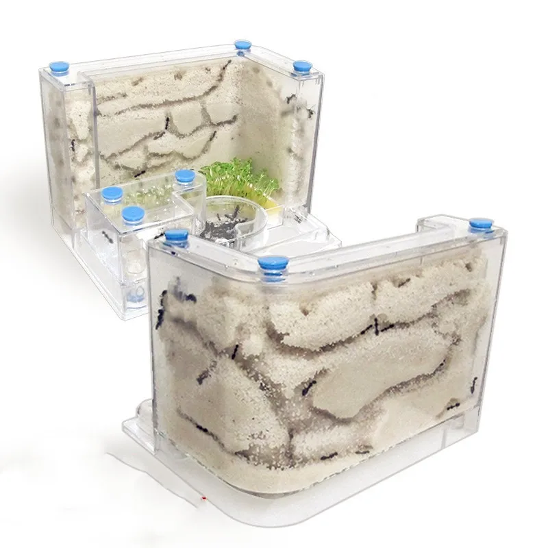 

Ant nest acrylic kingdom ant ecological box oversized castle large