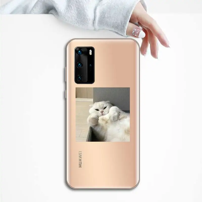 

cute cat Phone Case Transparent for Huawei P20 P30 P40 honor 8 10i P smart 2019 Samsung A71 A21S S10 20 plus