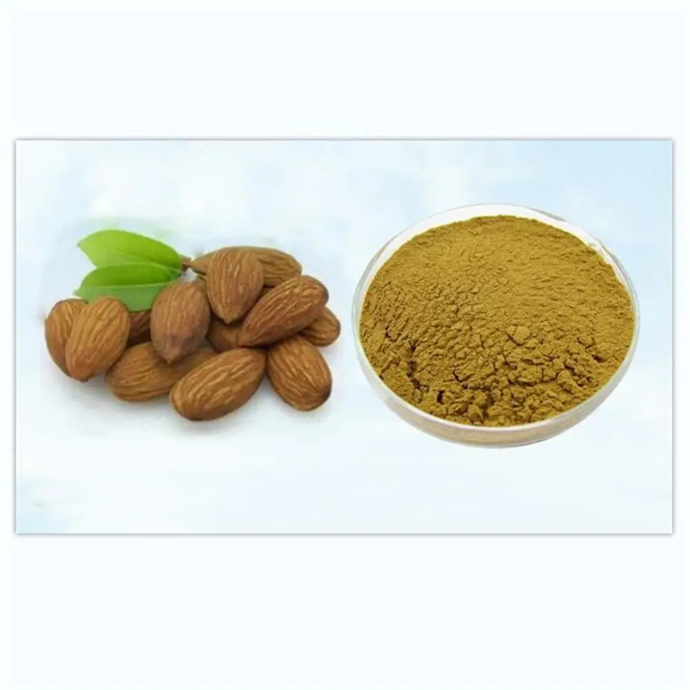 

200g-1000g Vitamin B17 Supply Pure Bitter Apricot extract 30:1 amygdalin, Anti-aging ,Almond Apricot Kernel