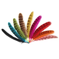 wholesale natural dyed female pheasant feathers jewelry making 4 610 15cm wedding feathers for crafts carnival plumes plumas