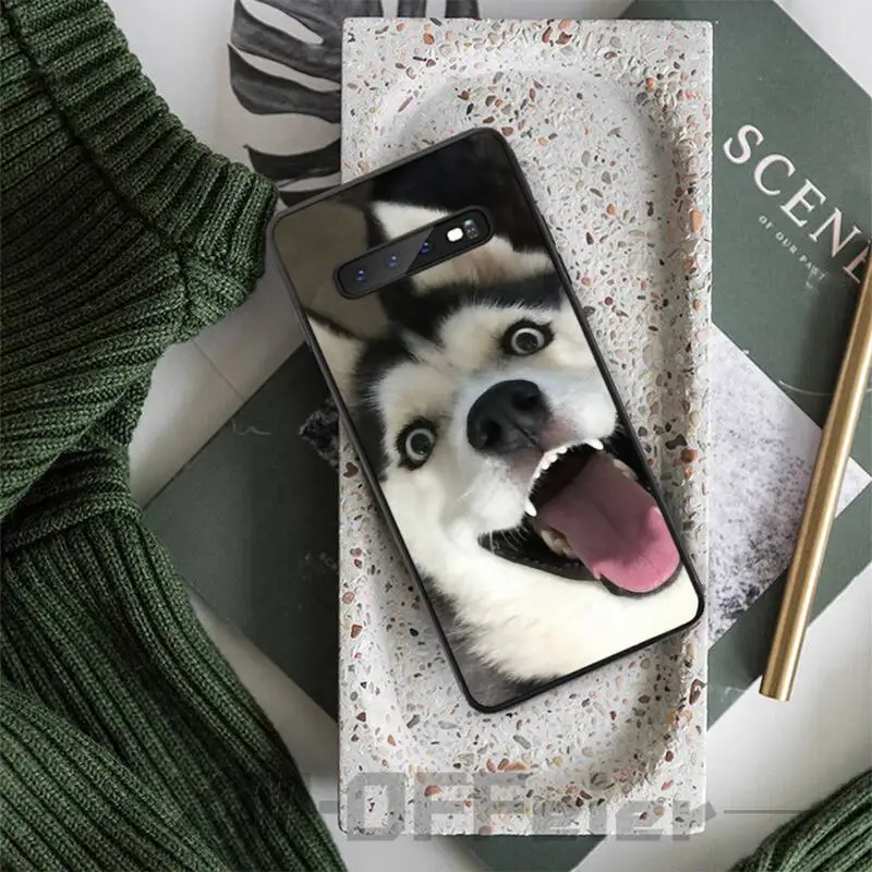 Роскошный брендовый чехол с забавными собаками хаски чехлы для samsung galaxy S8 S9 S10e S20