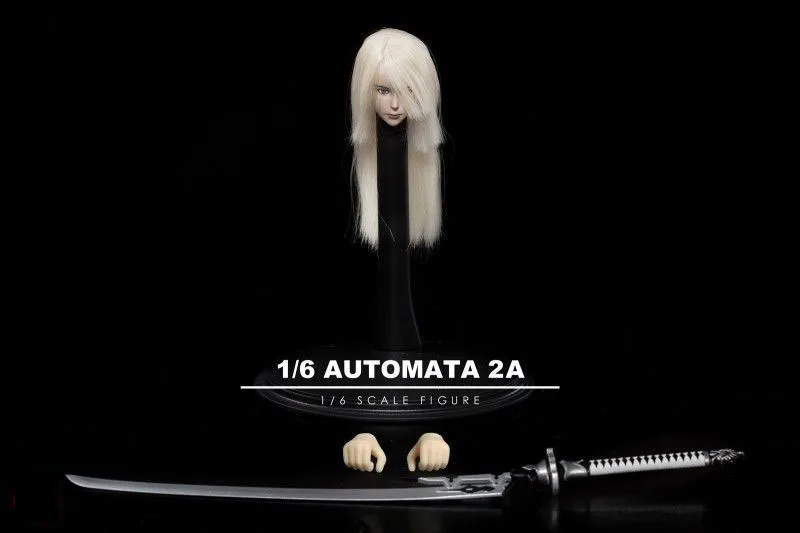 TF TOYS TF02 1/6 НИР 2A девушка глава лепить одежда меч набор для женщин солдат модель