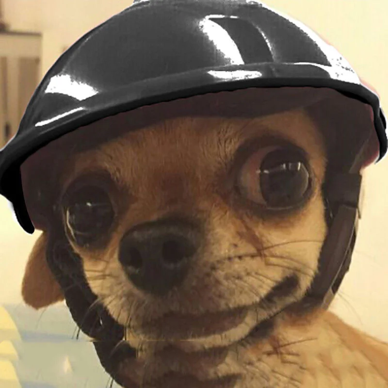 Хот питомец собака мотоцикл велосипед шлем шапка защита от солнца дождя Хэллоуин