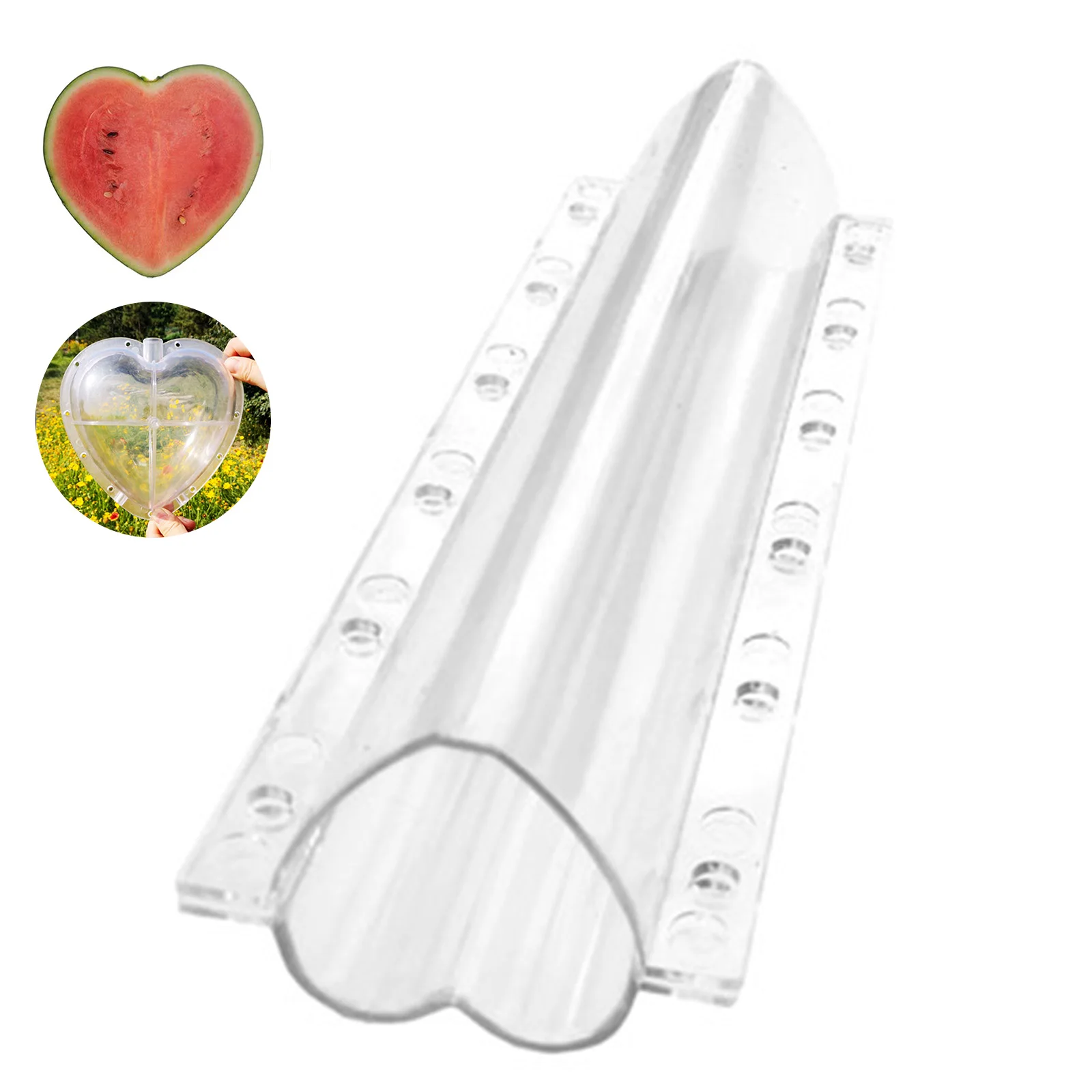 

5 Pieces of Heart-shaped Fruit Planting Mold Garden Fruit and Vegetable Heart-shaped Cucumber Molding Mold Growth Molding Tool