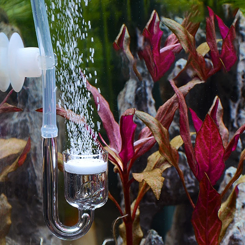 Стеклянный аквариумный диффузор CO2 присоска фиксирующий распылитель счетчик