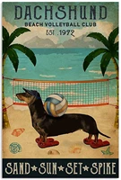 vintage beach volleyball club dachshund decor home wall art canvas
