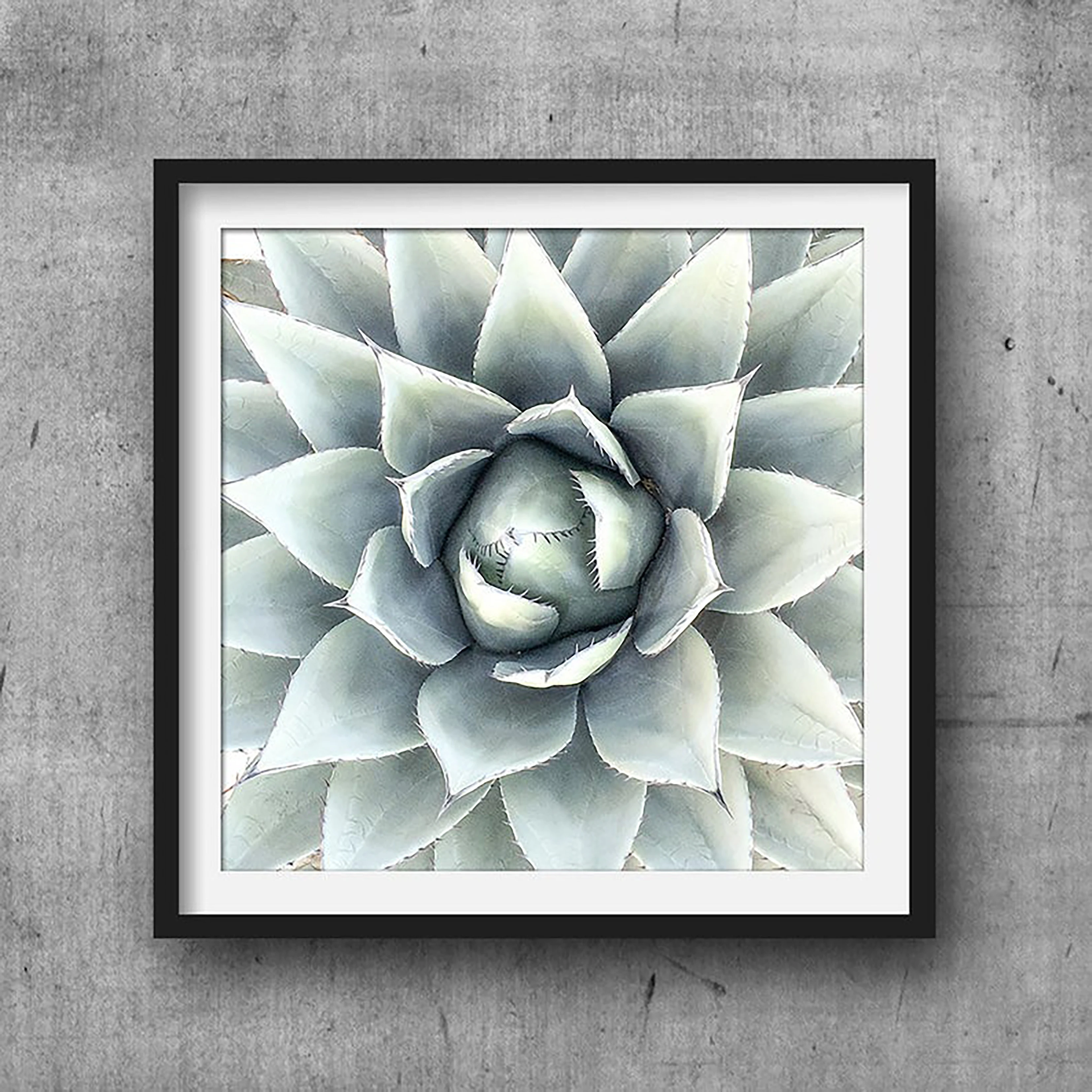 Кактус с художественным принтом агавы квадрат сочные принты современный