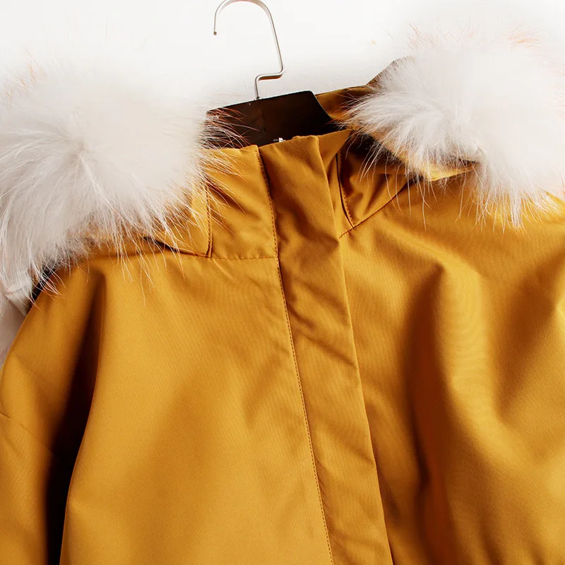 

Down Coats