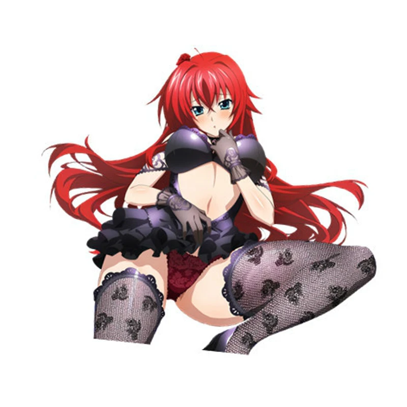 13*8 см творческий аниме старшая школа DXD Rias Gremory Otaku Dakimakura Милая девушка виниловая