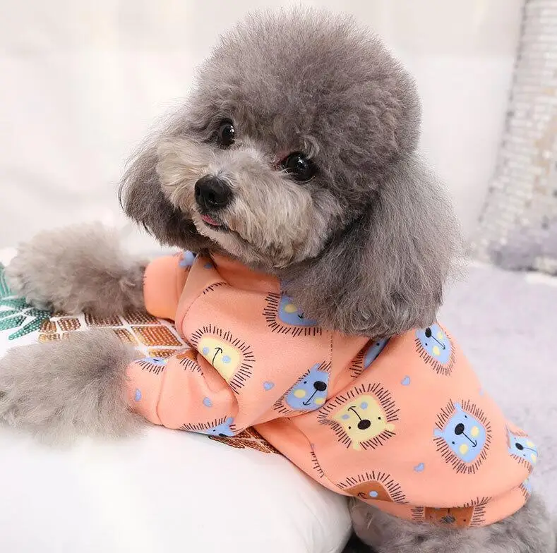 Одежда для щенков маленьких собак теплая хлопковая одежда чихуахуа куртка