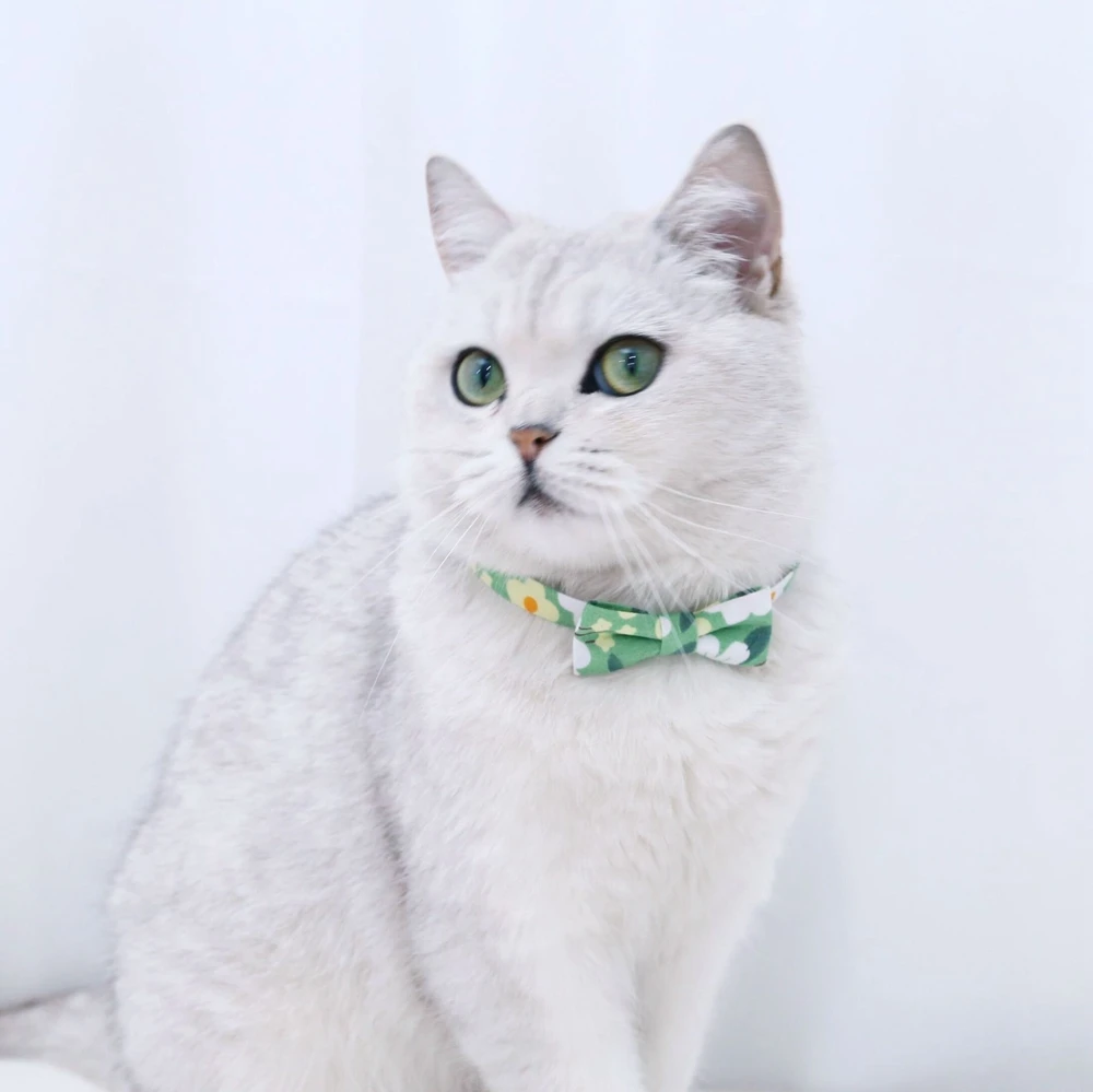 Ошейник с бантом для кошек Регулируемый аксессуар цветочным рисунком домашних