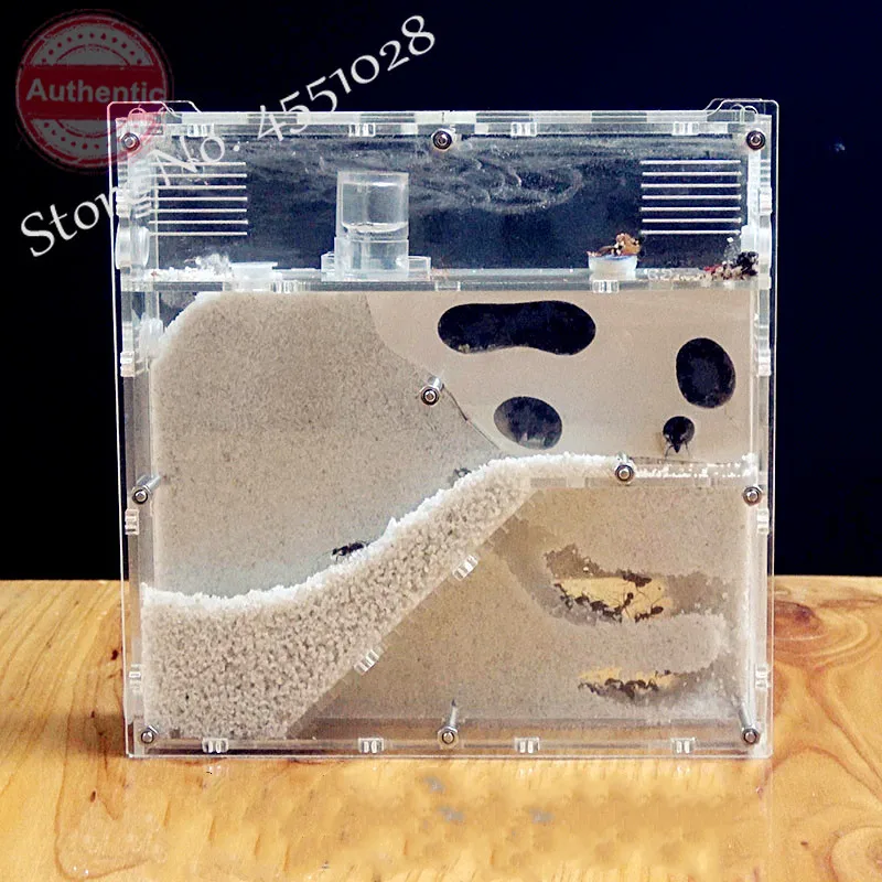 Новая мастерская для муравьев экологичное акриловое гнездо песчаное песчаный
