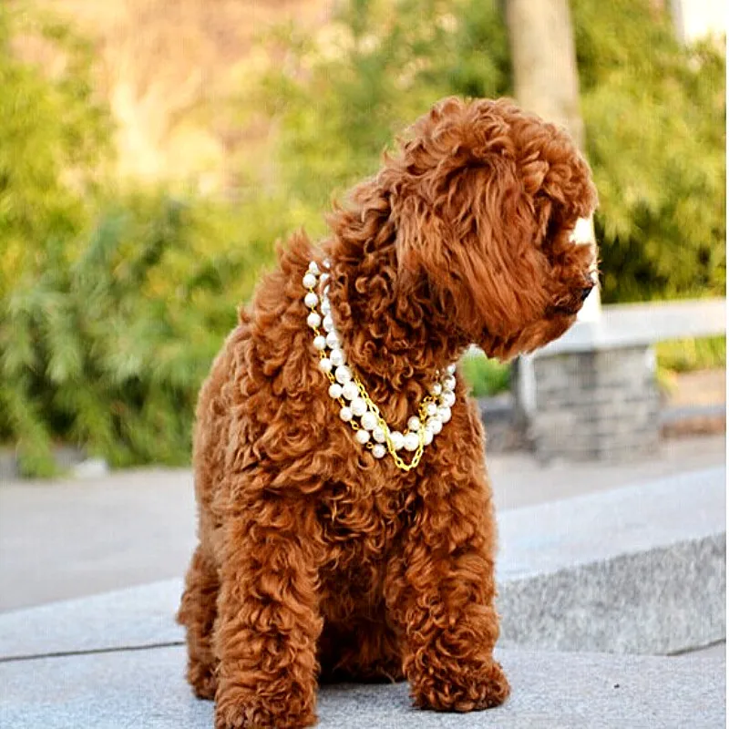 Жемчужное ожерелье для собаки ювелирные изделия домашних животных аксессуары